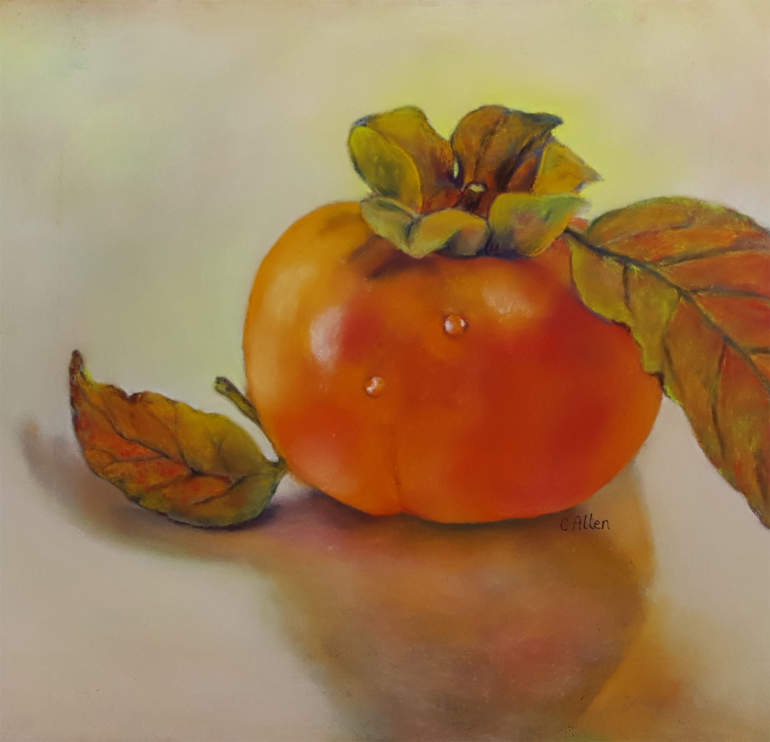 Persimmon