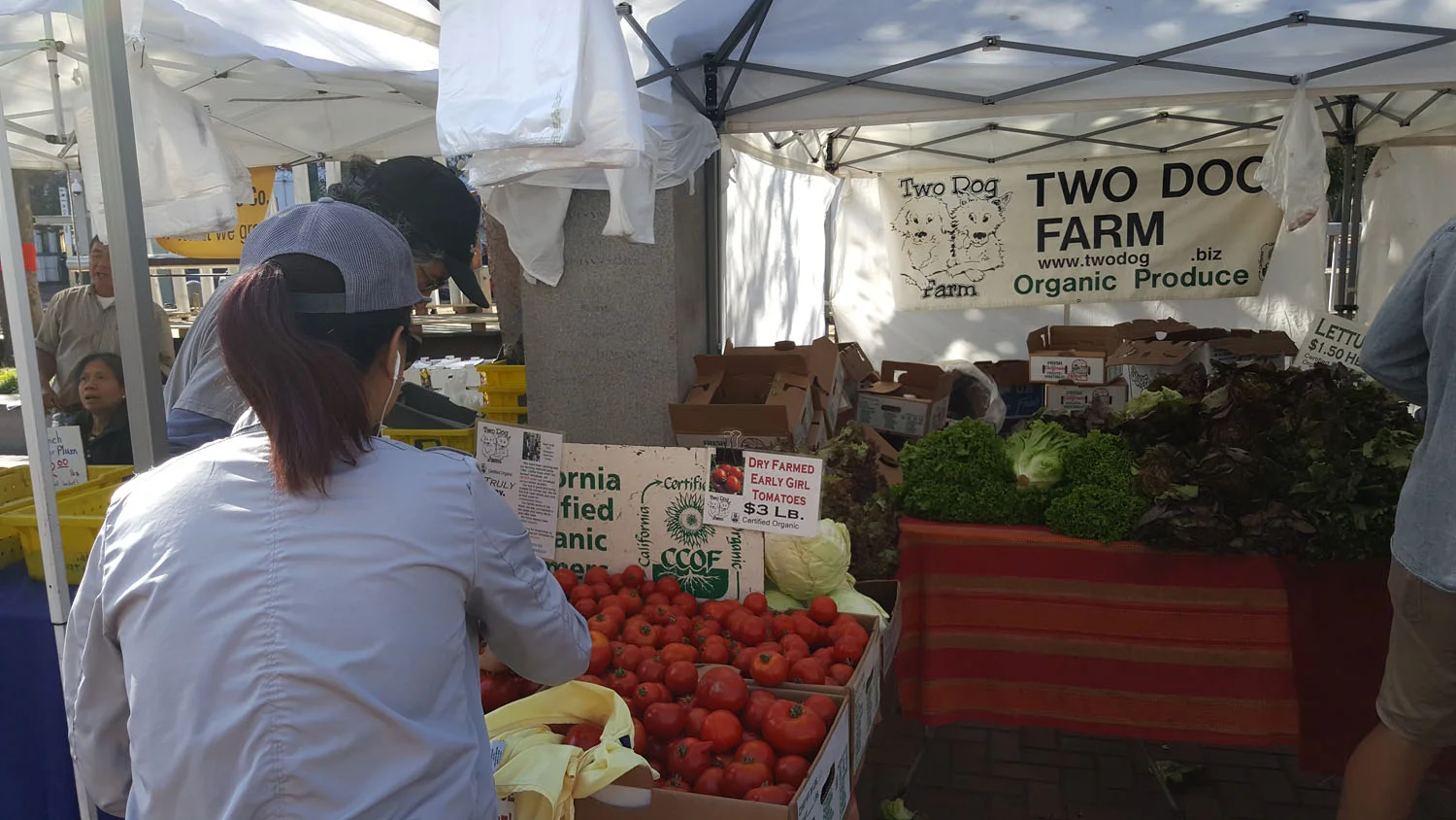 The tomatoes!