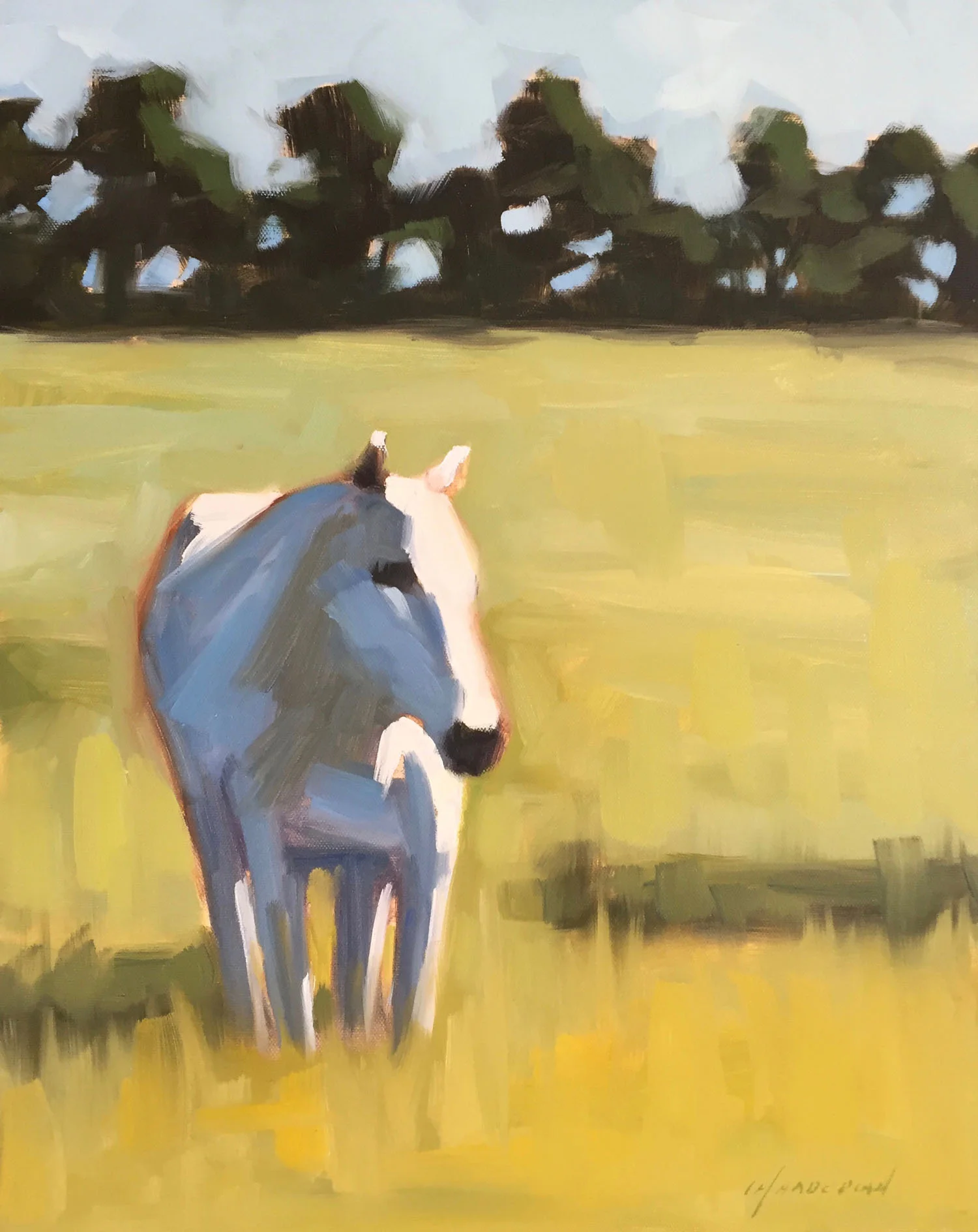 White Horse, Half Moon Bay