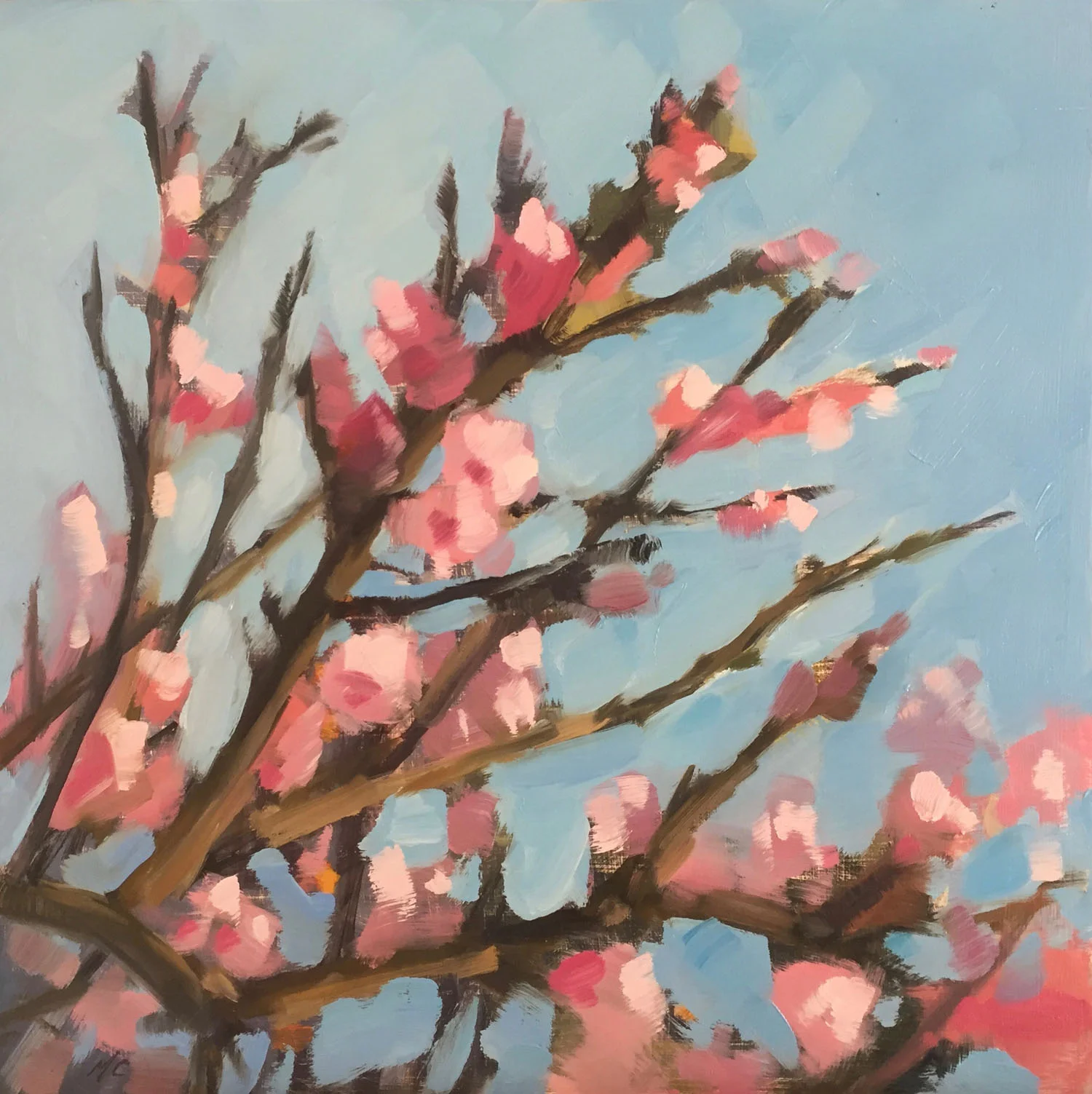 Plum Blossoms