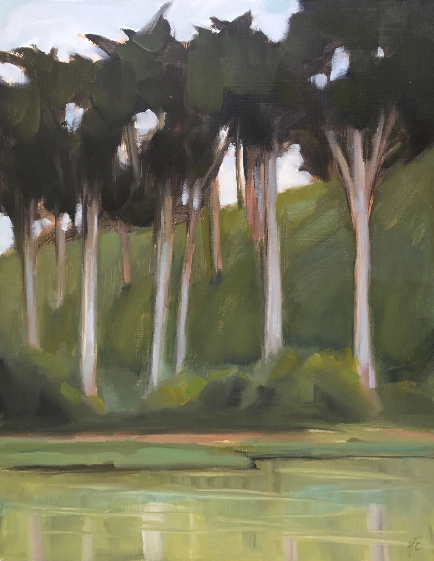 Stow Lake Cypress