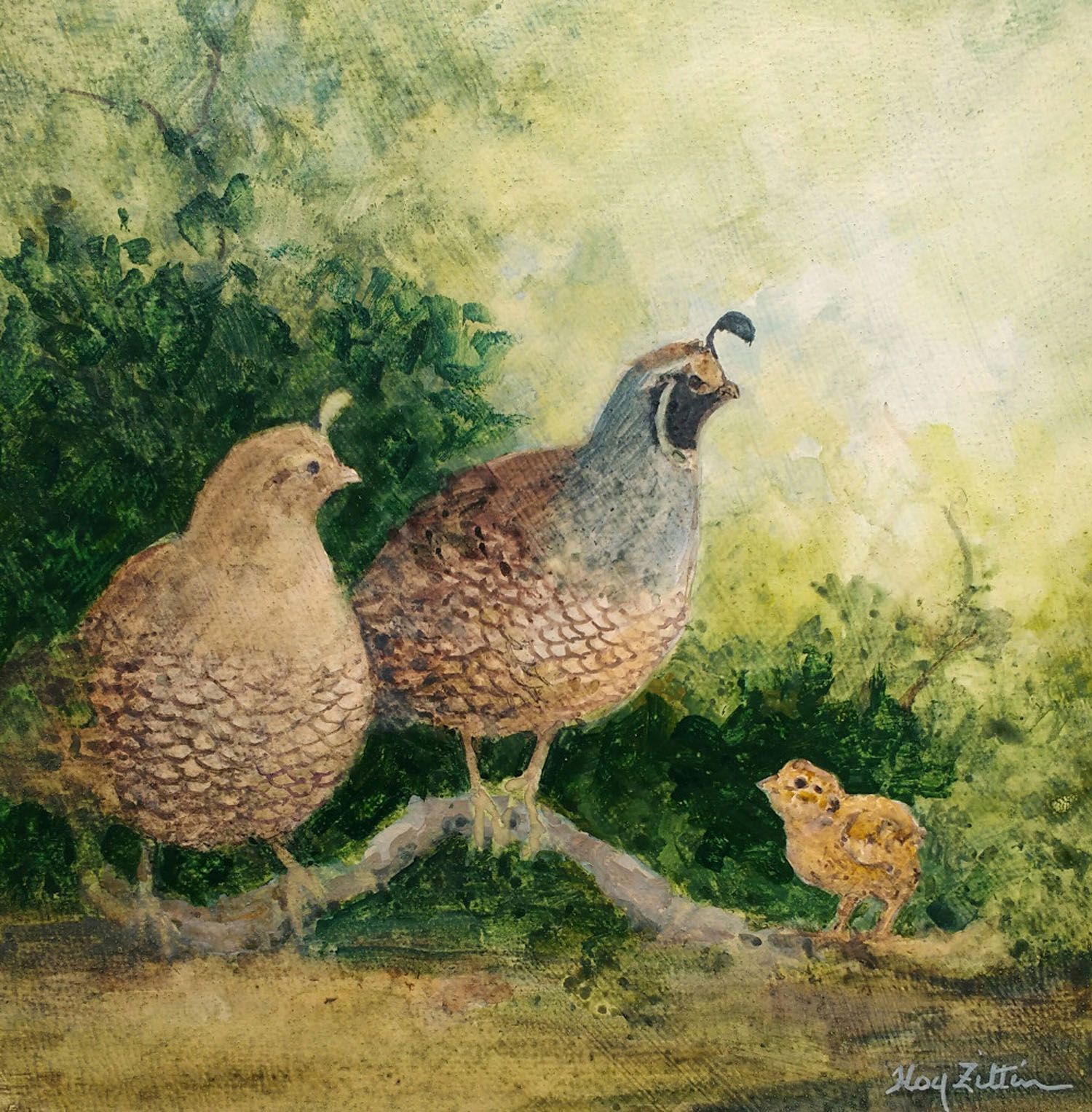 Quail with Chick