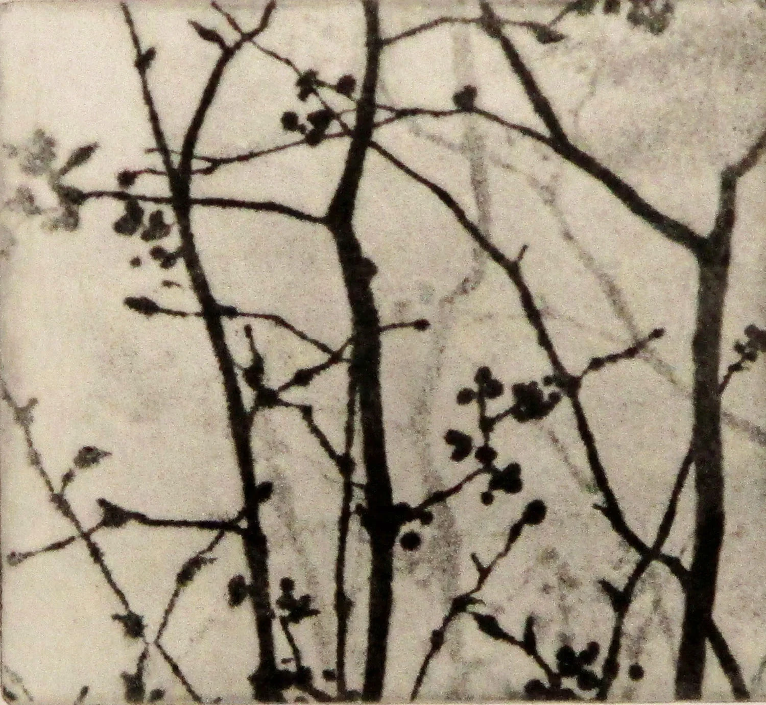 Prelude to Spring