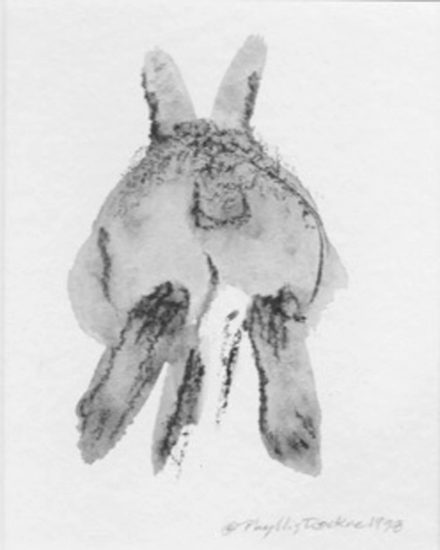 Hare Today...