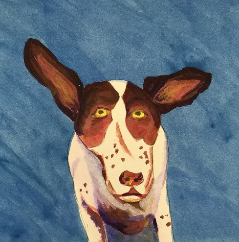 Finn