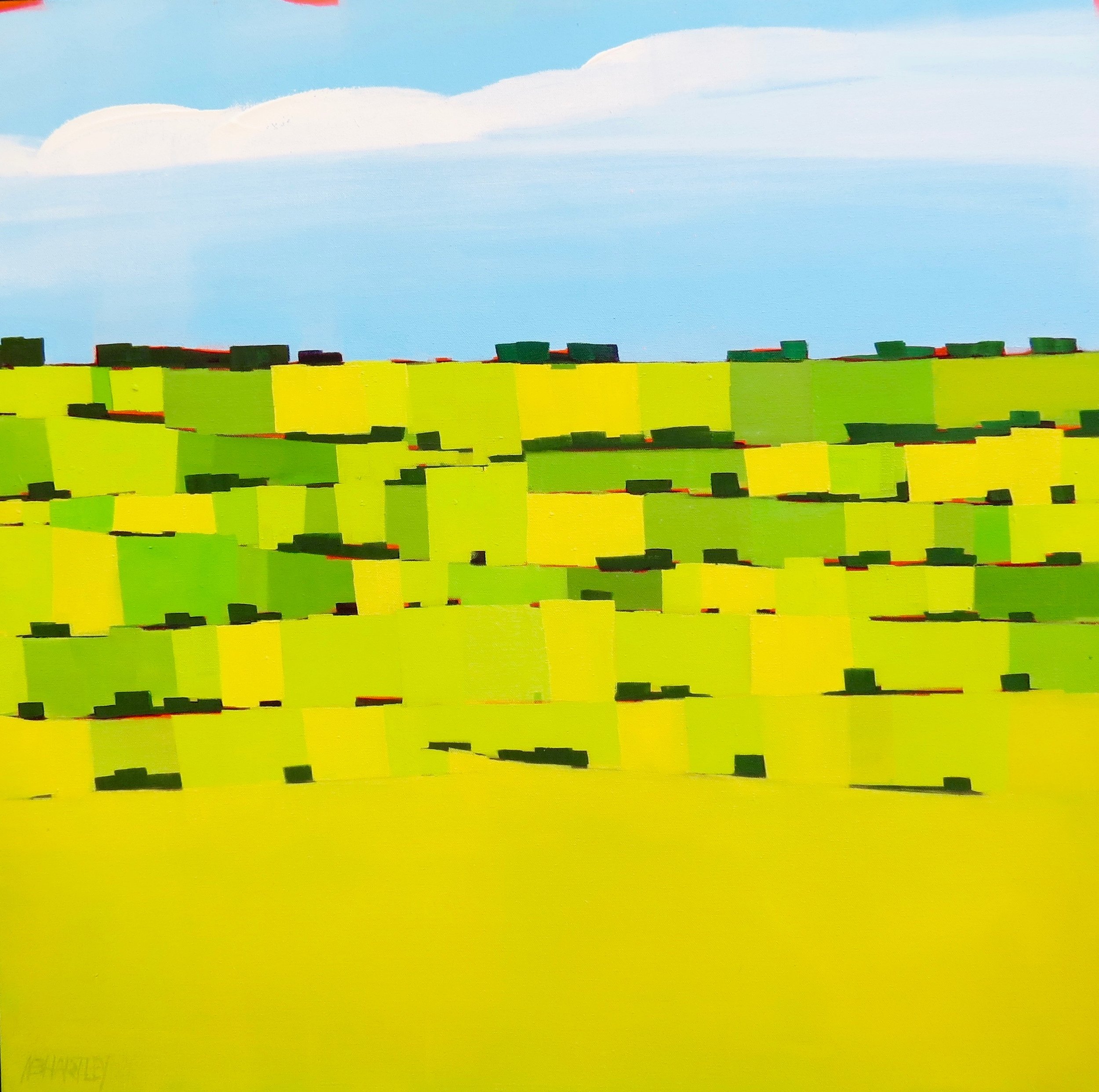 Green Meadows, 30 X 30, oil on canvas