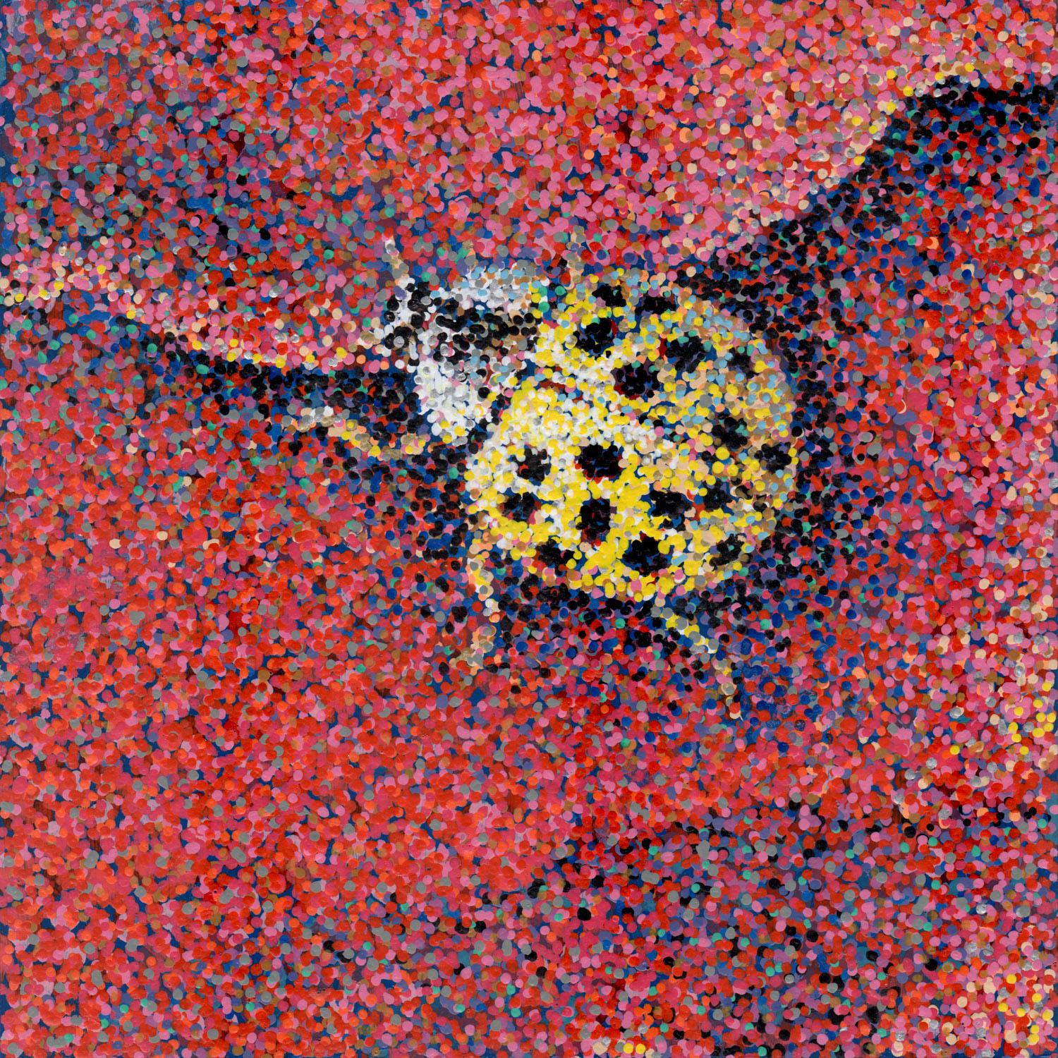 Ladybug Wishes