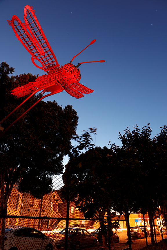 Fly Dragon, Argonne Playground