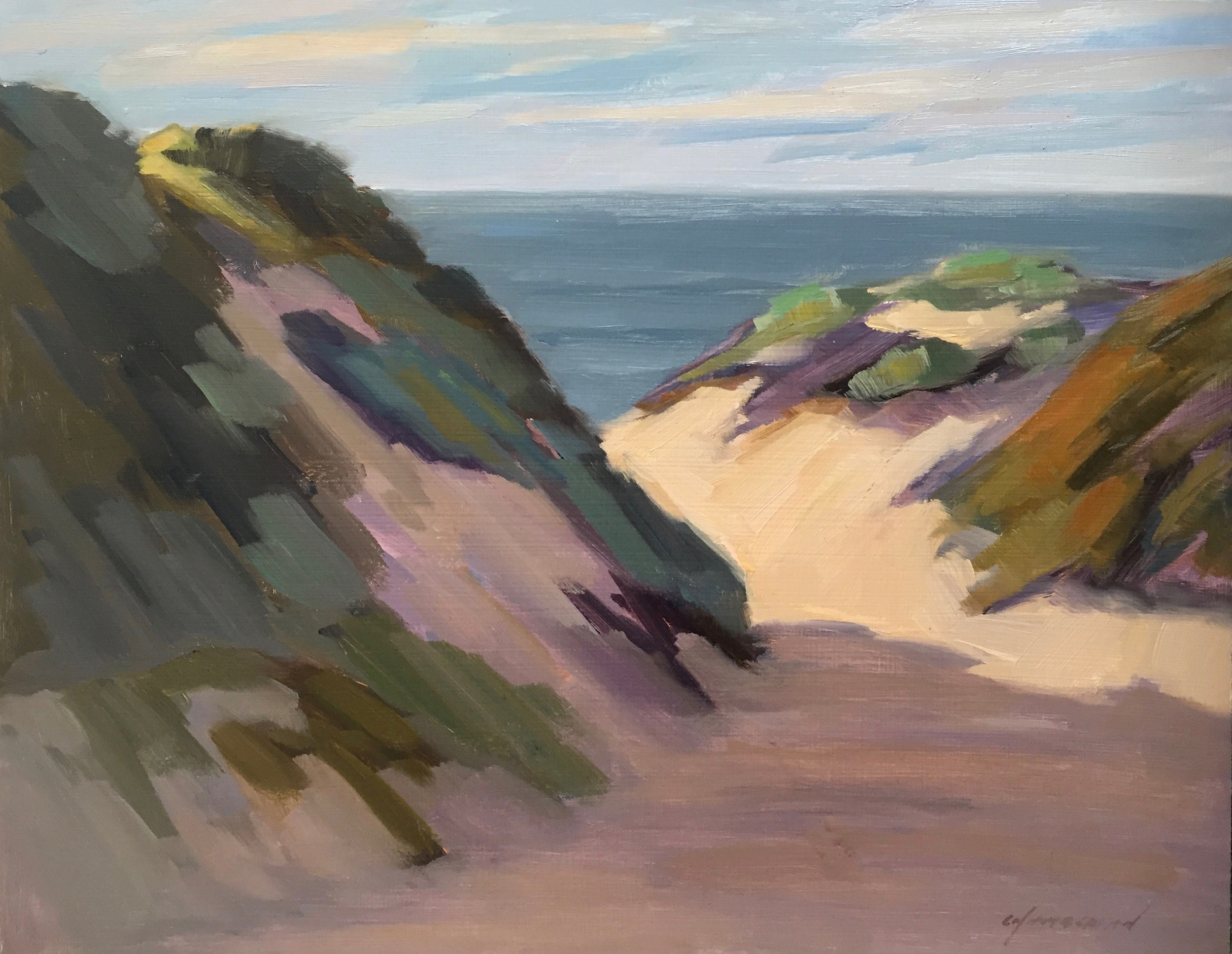 Pescadero Dunes #1