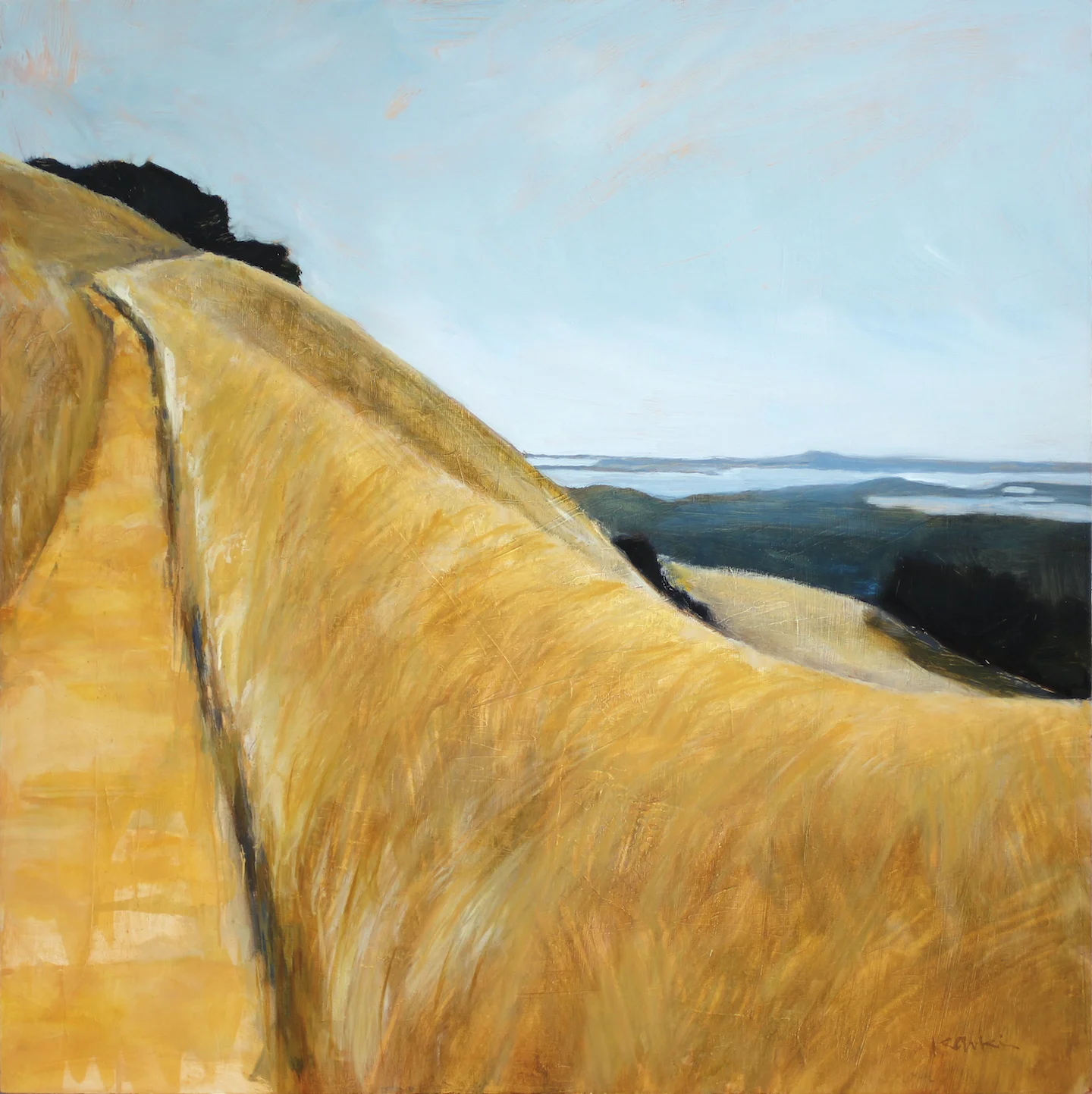 Golden Grass on Mt. Tam