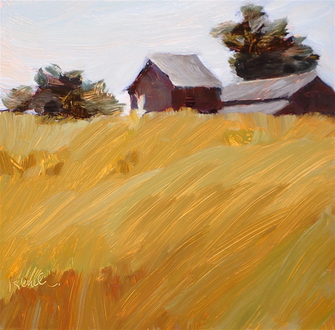 Barns, Bodega