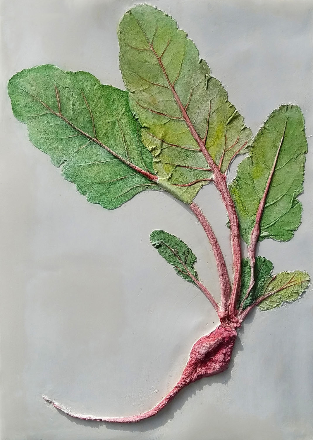 Beet