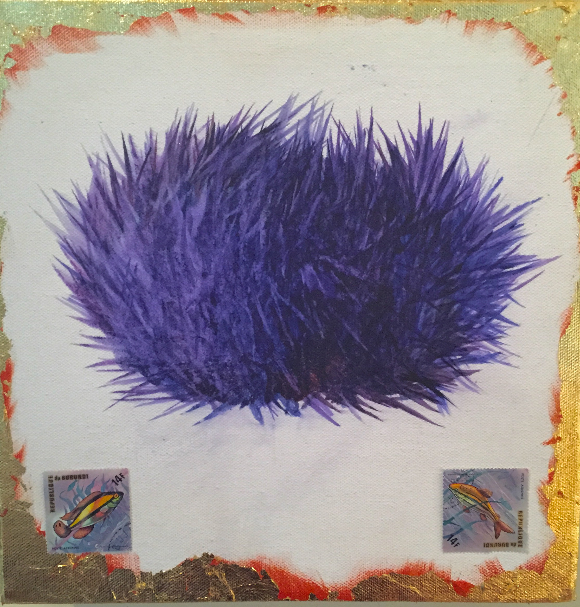 Violet Urchin
