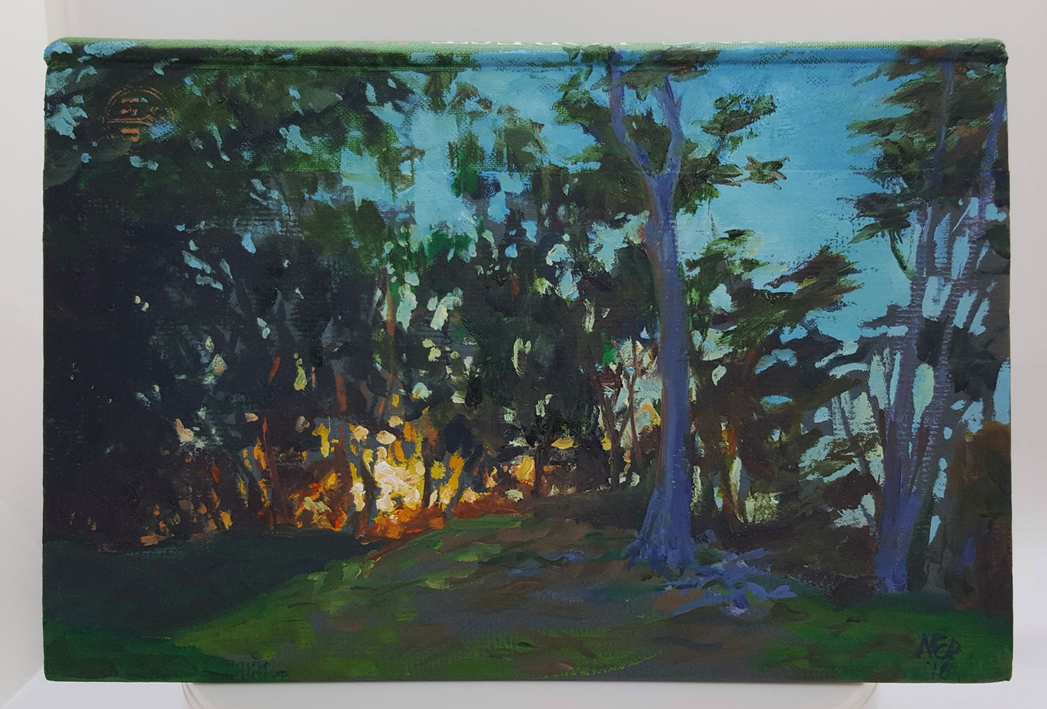 The Living Forest