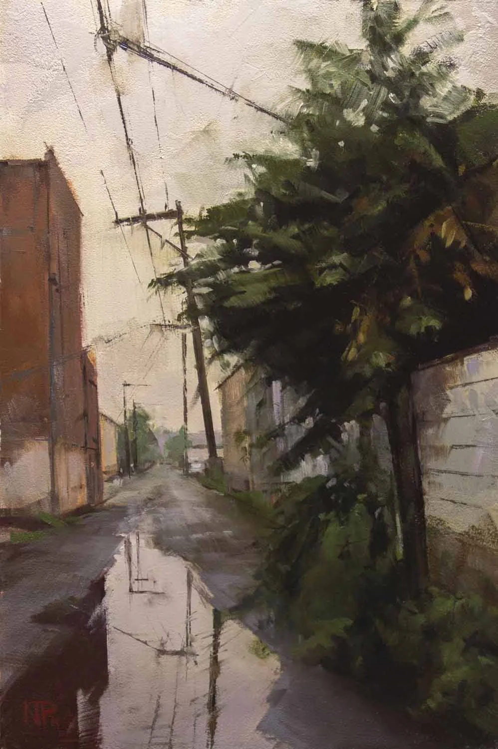 Alleyway Flora