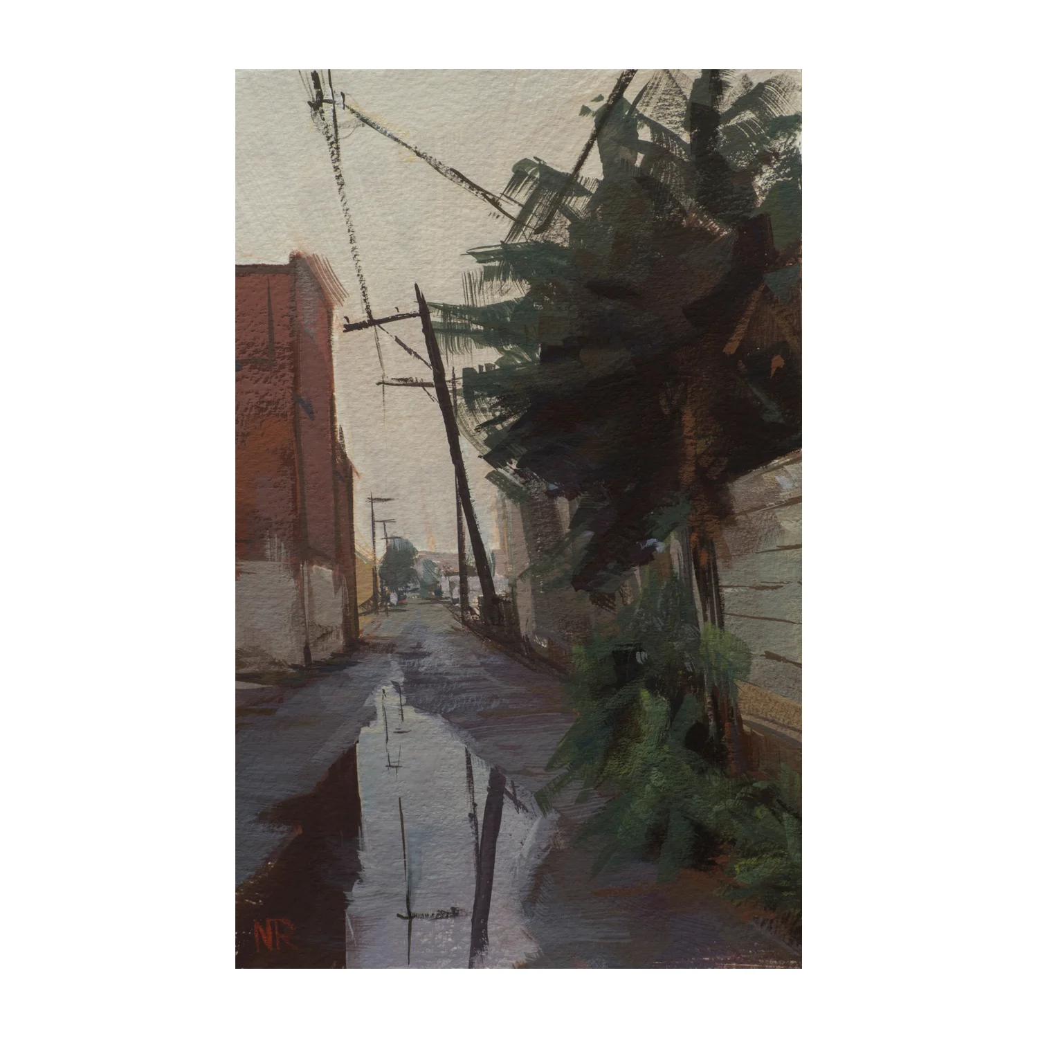Alley Flora Study