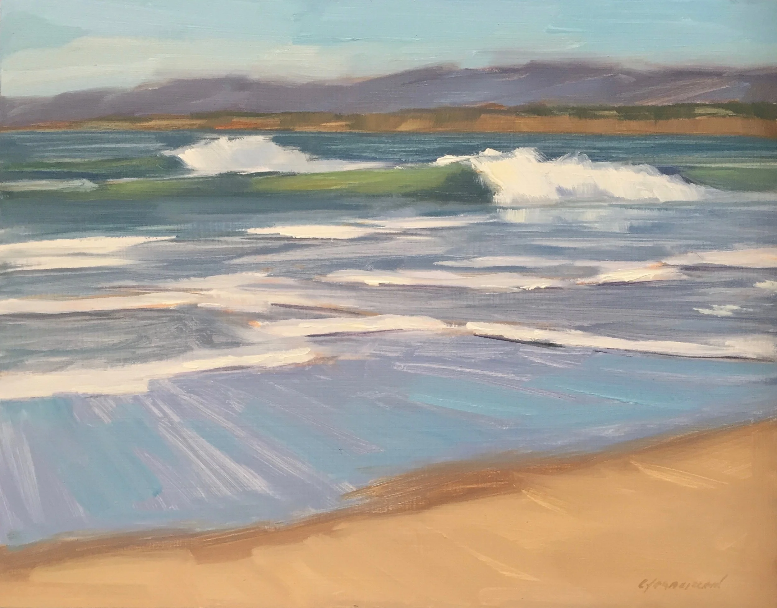 Spring Tide, Pomponio State Beach