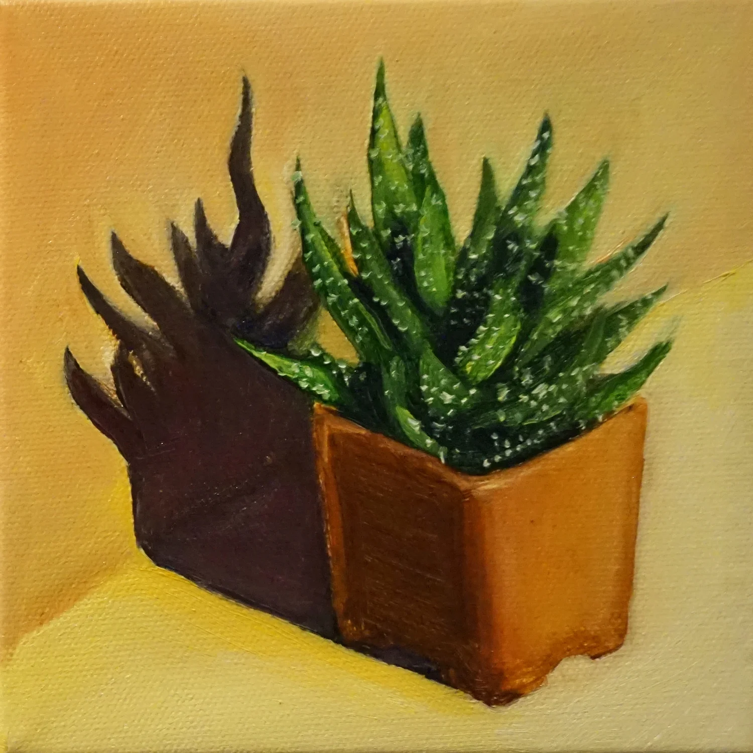 Mini Succulent 1