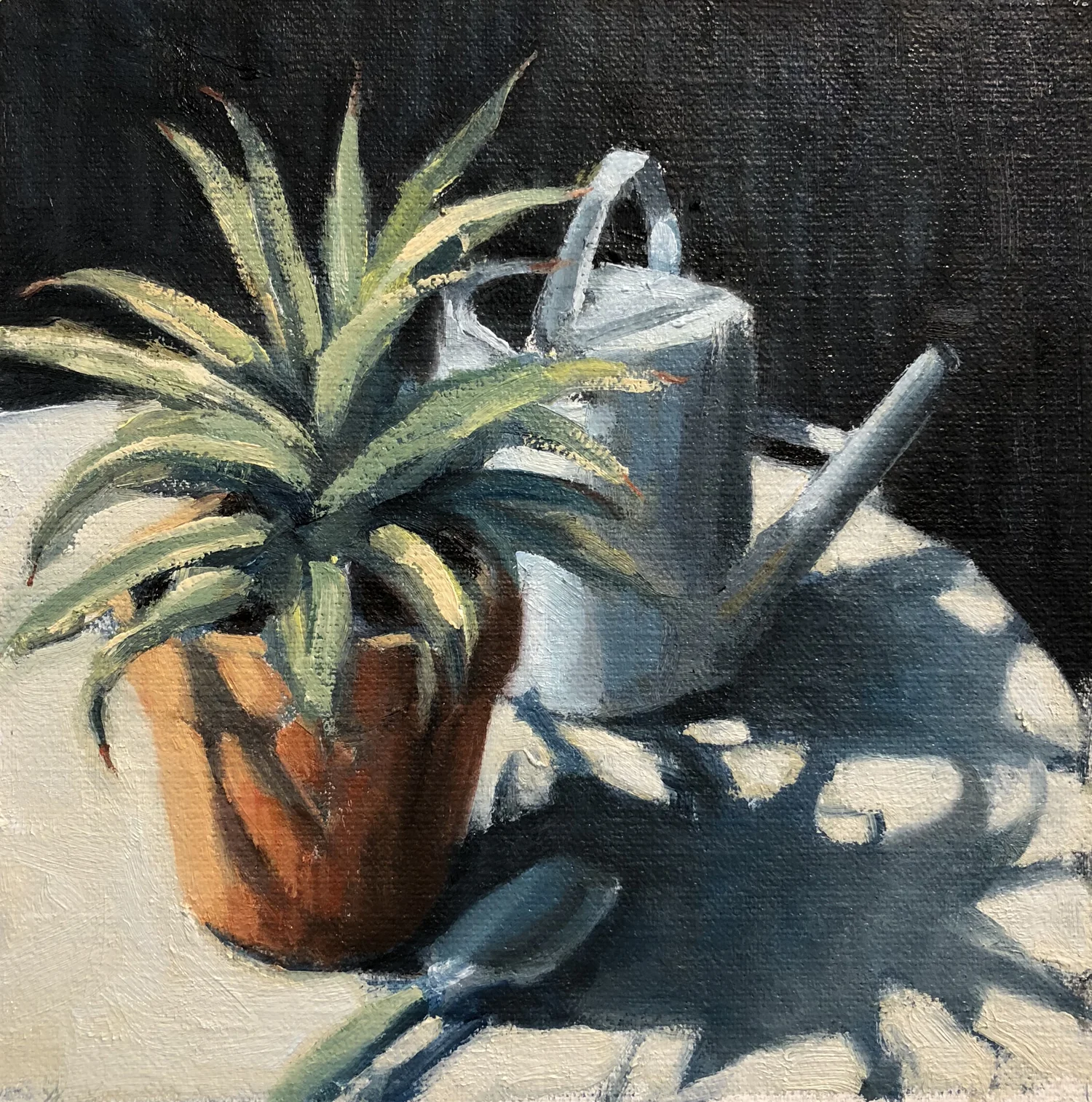 Succulent & Watering Can