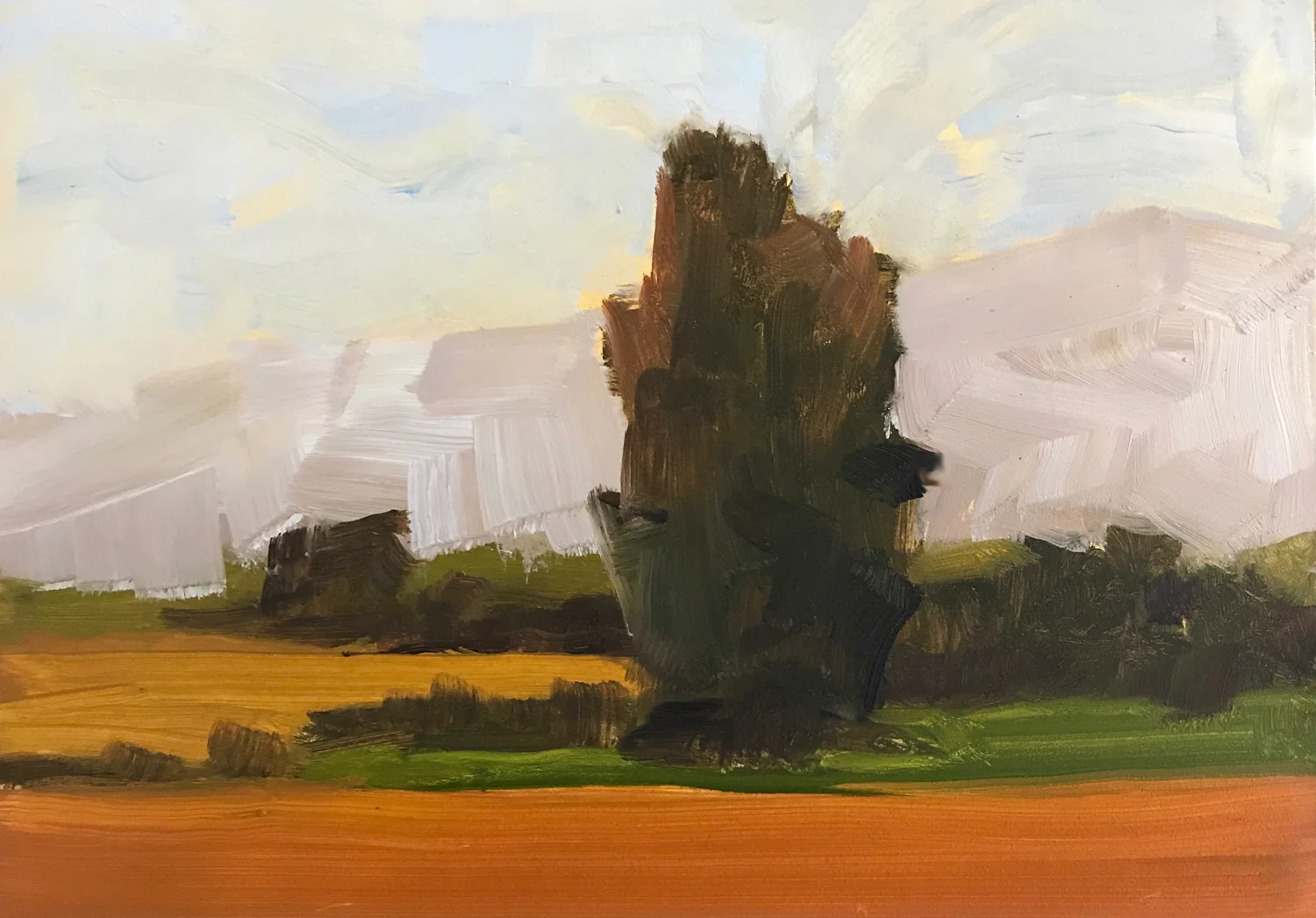 Tree with Orange Land