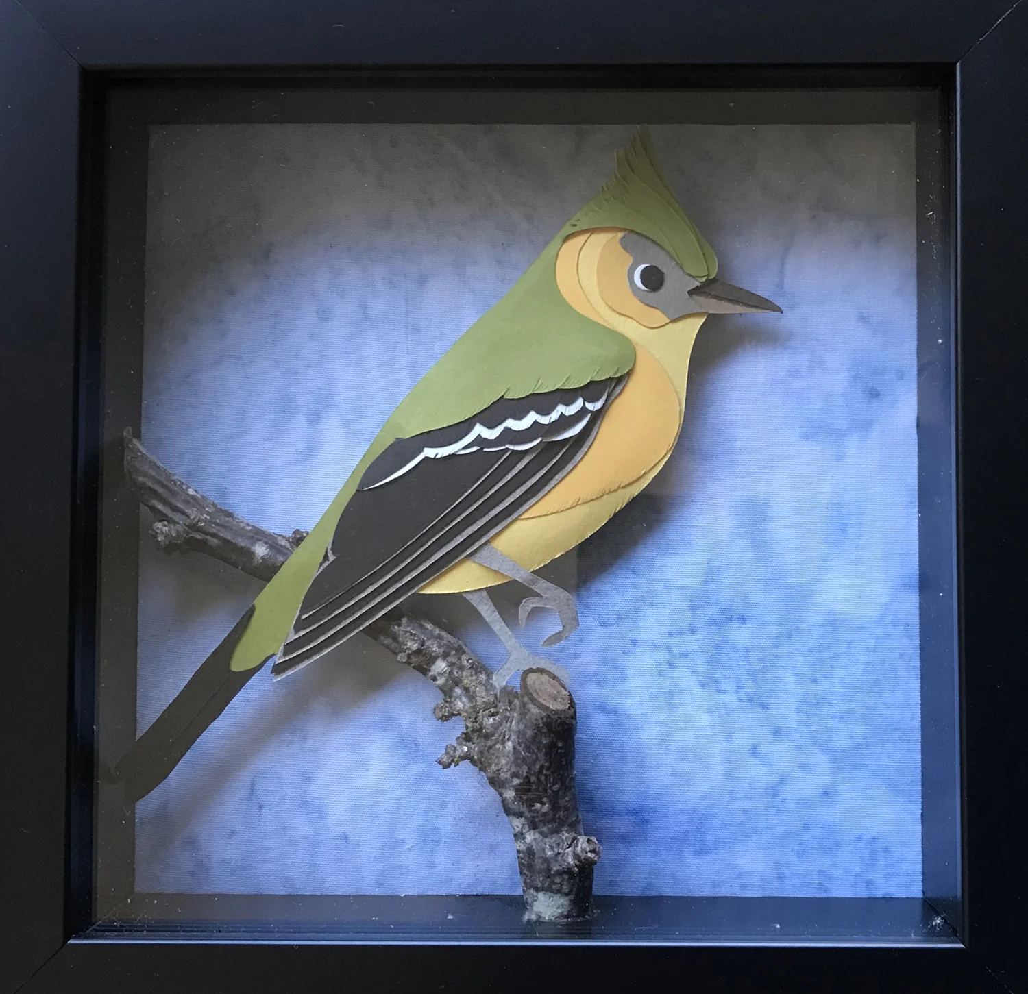 Tufted Flycatcher