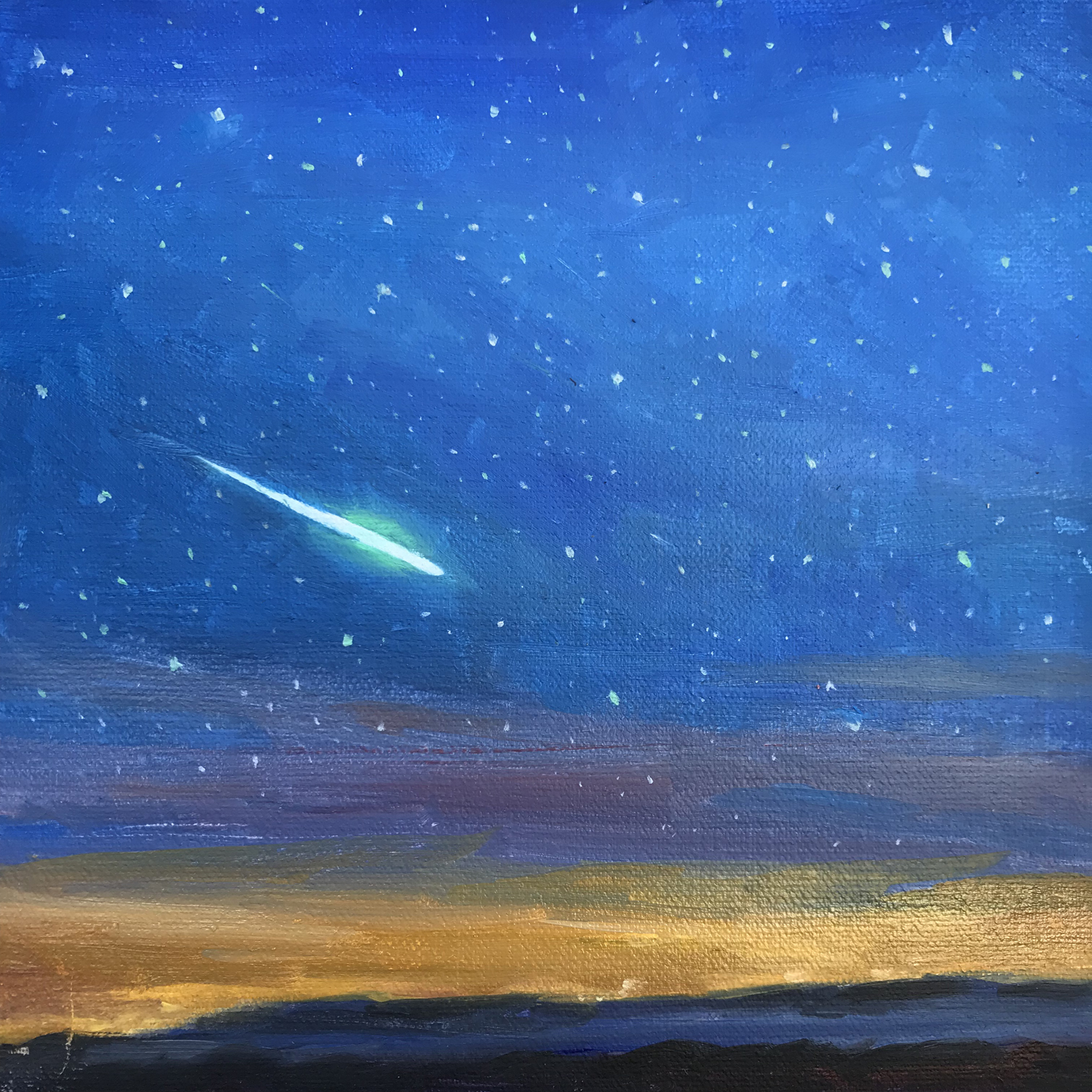 Perseids Shower