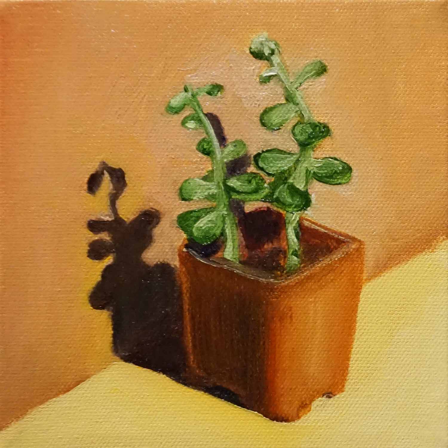 Mini Succulent 2