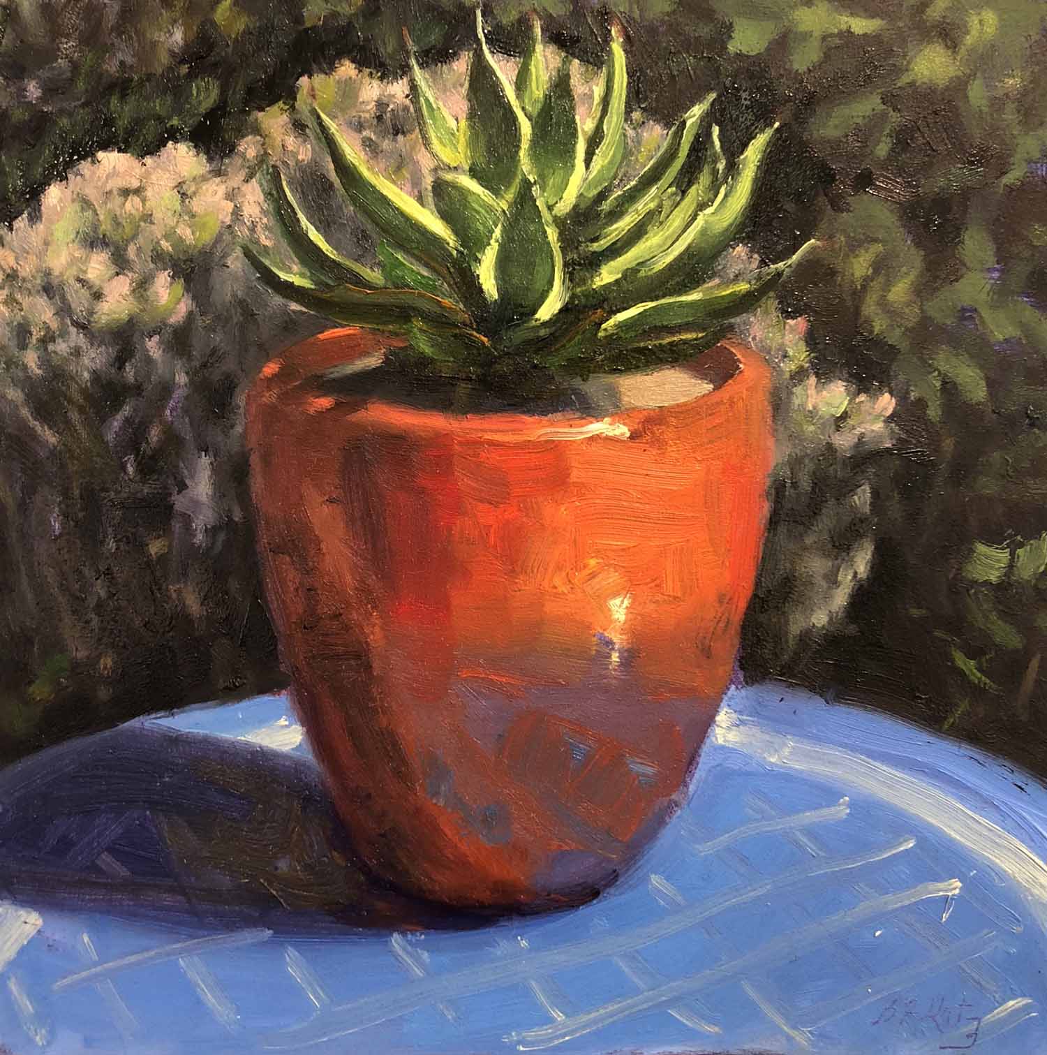 Succulent in a Red Pot