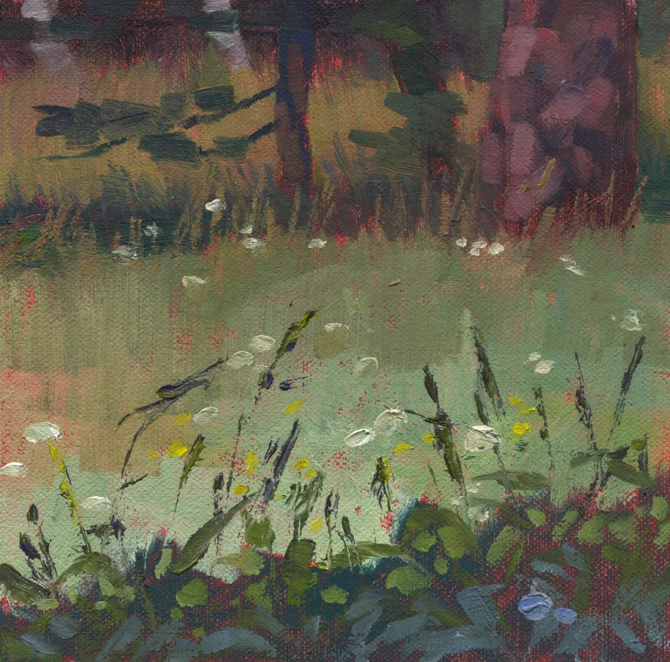 Wild Blooms