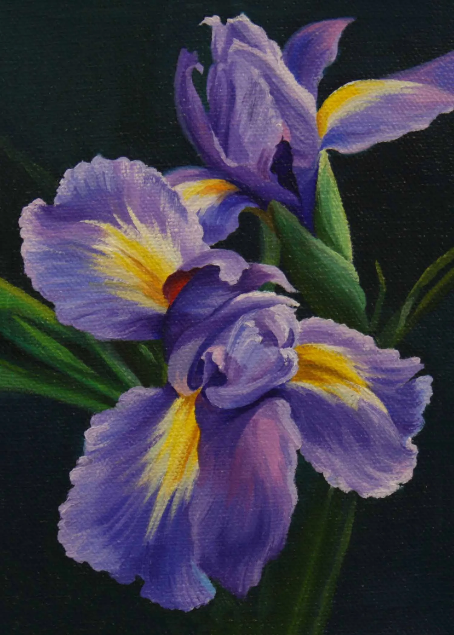 Like a Purple Butterfly
