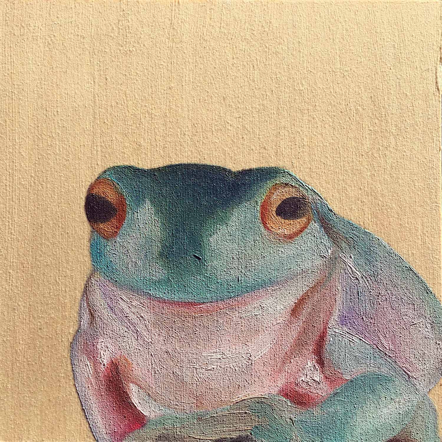 Frog Friend