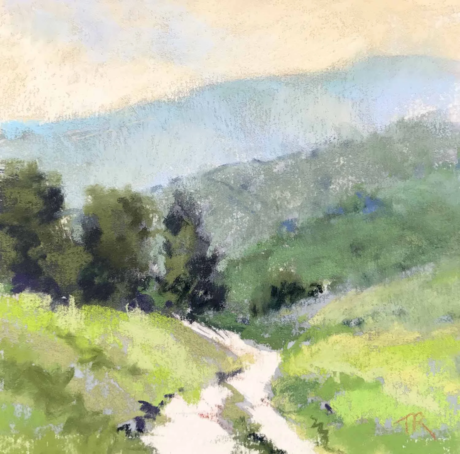 Footpath (Windy Hill)