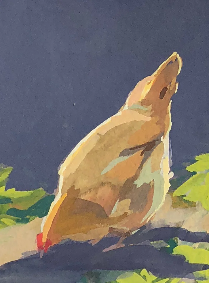 Butternut