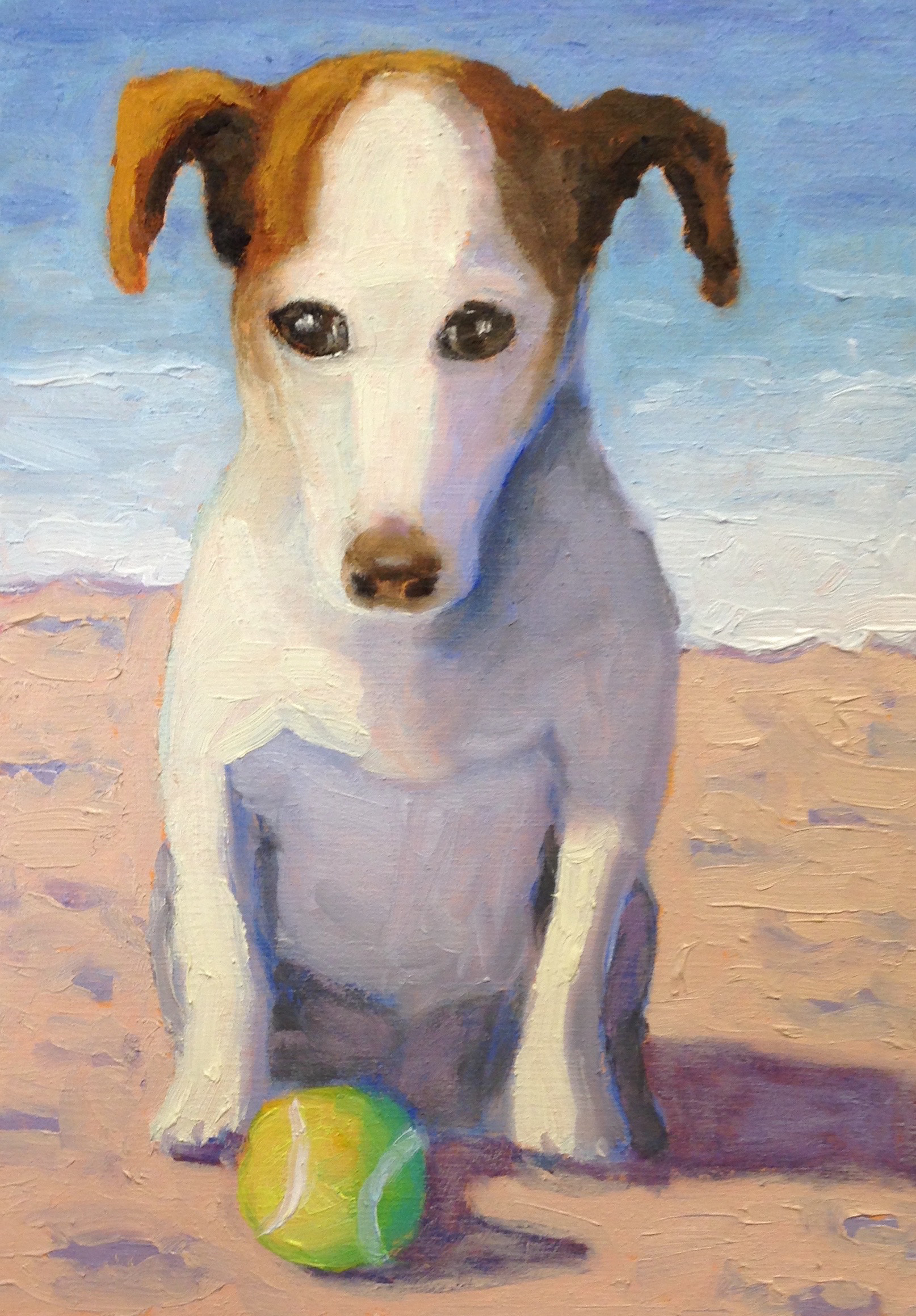 Jack Russell at the Beach