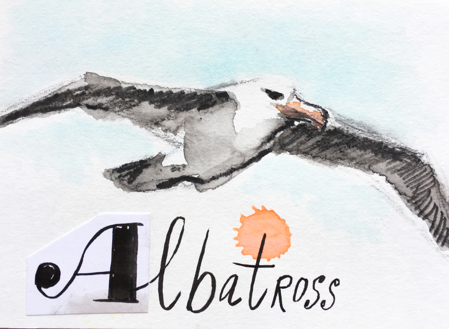 Flying Albatross