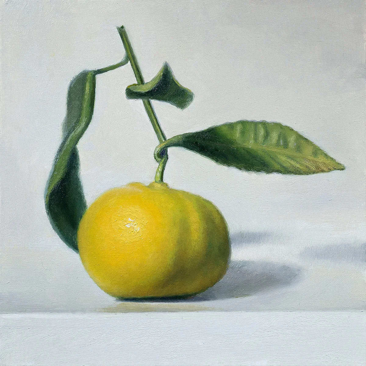 Citrus I