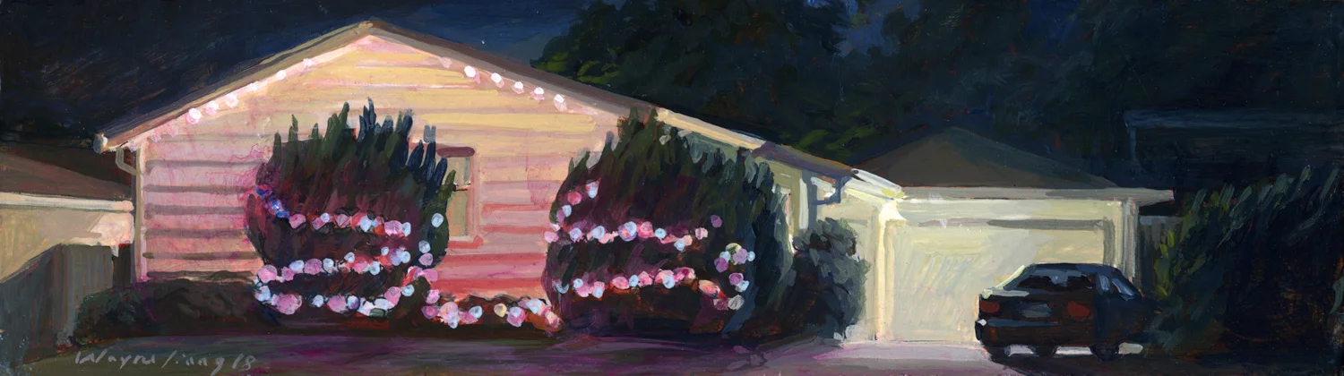 Pink and Blue Christmas Lights