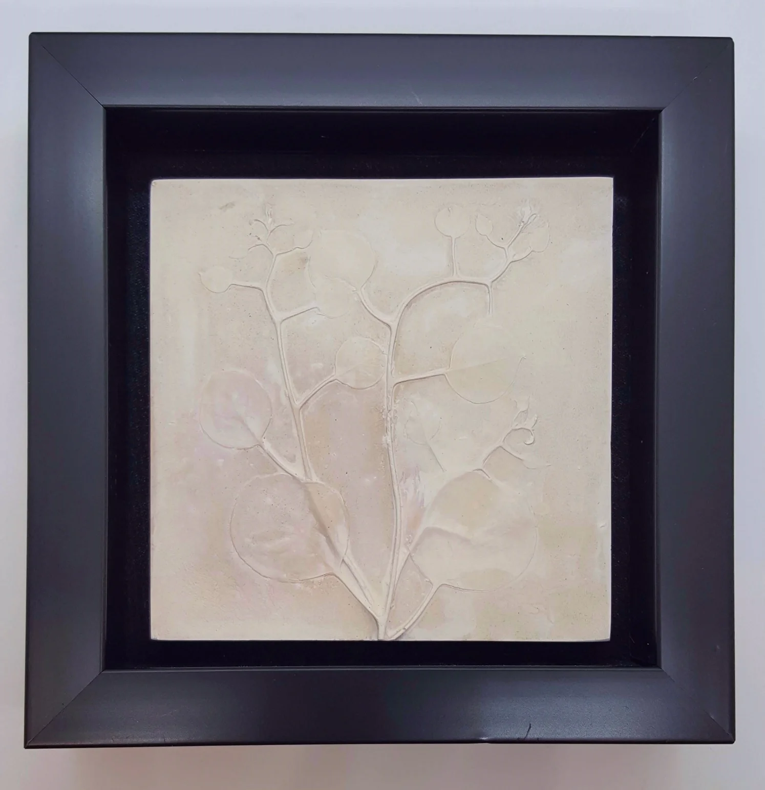 Eucalyptus