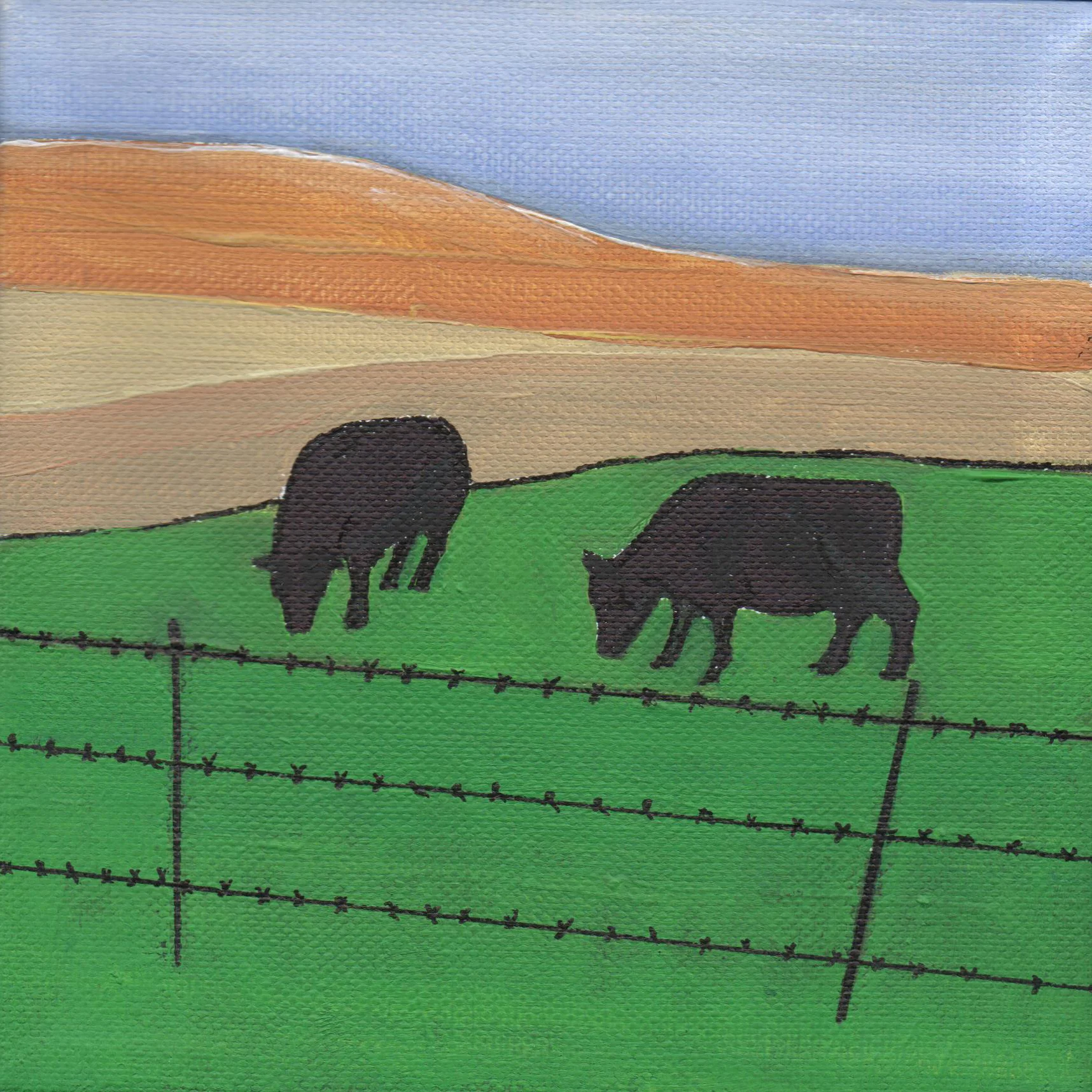 Bodega Bay Cows