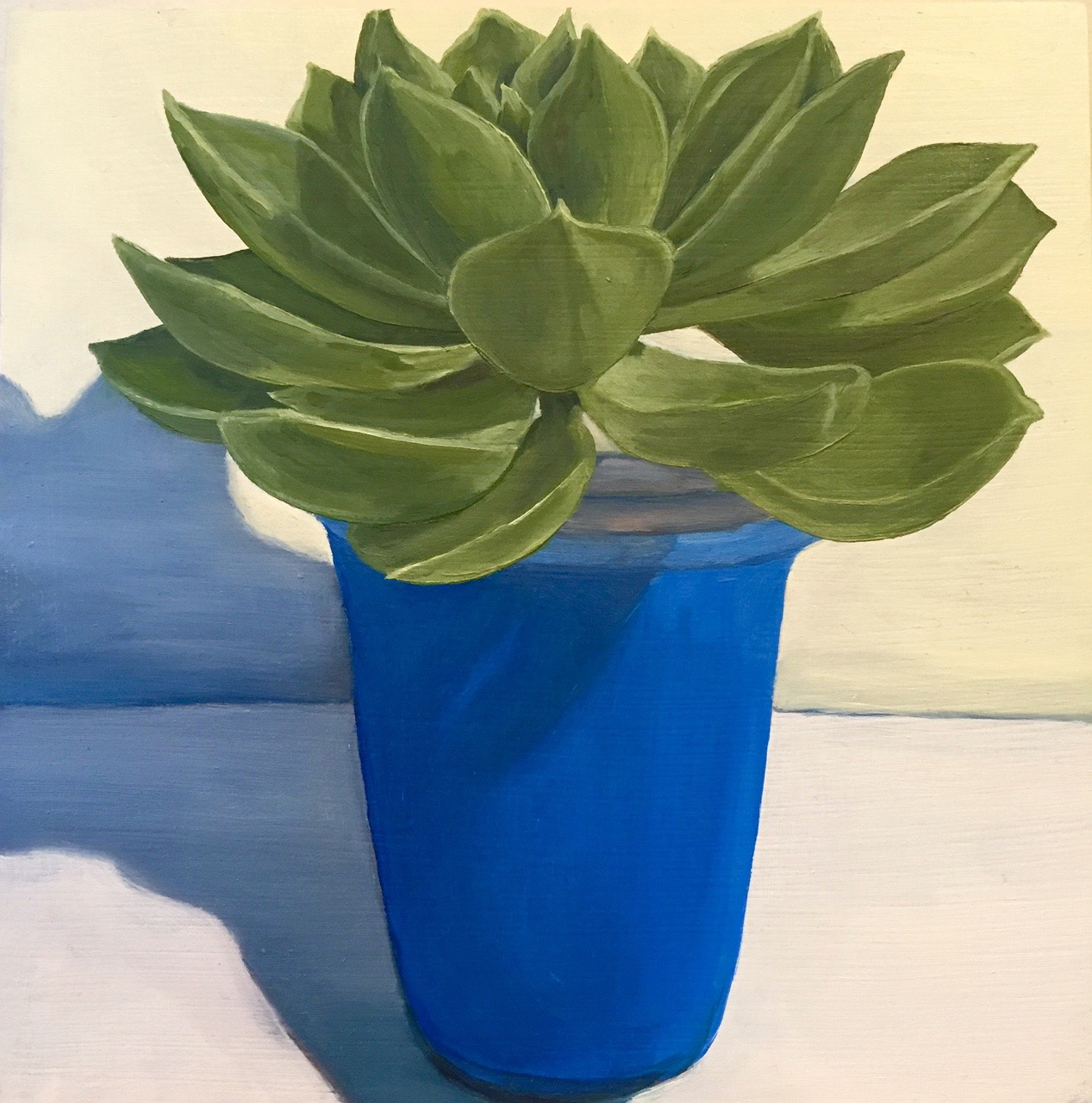 Potted in Blue