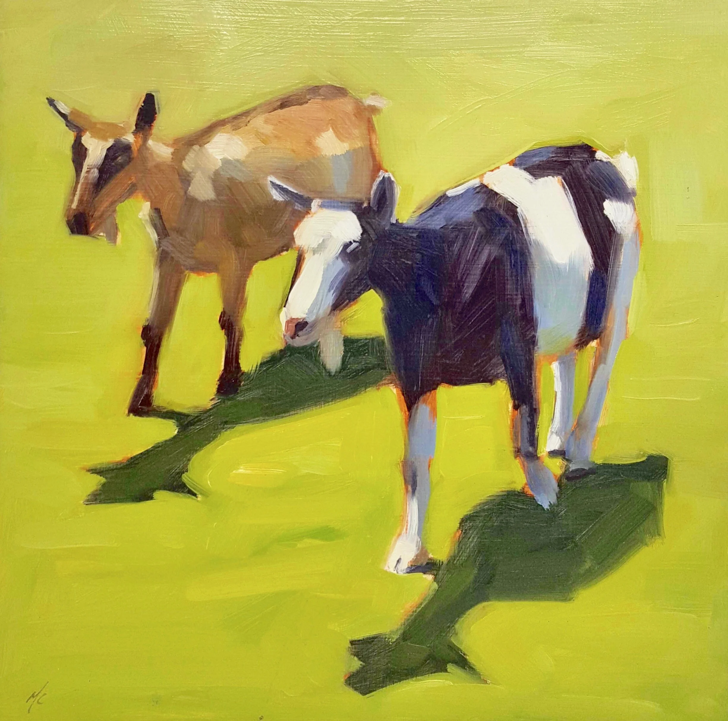 Harley Farms Goats
