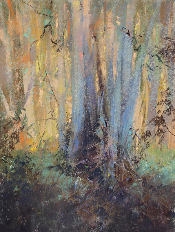 Deep in Tilden
