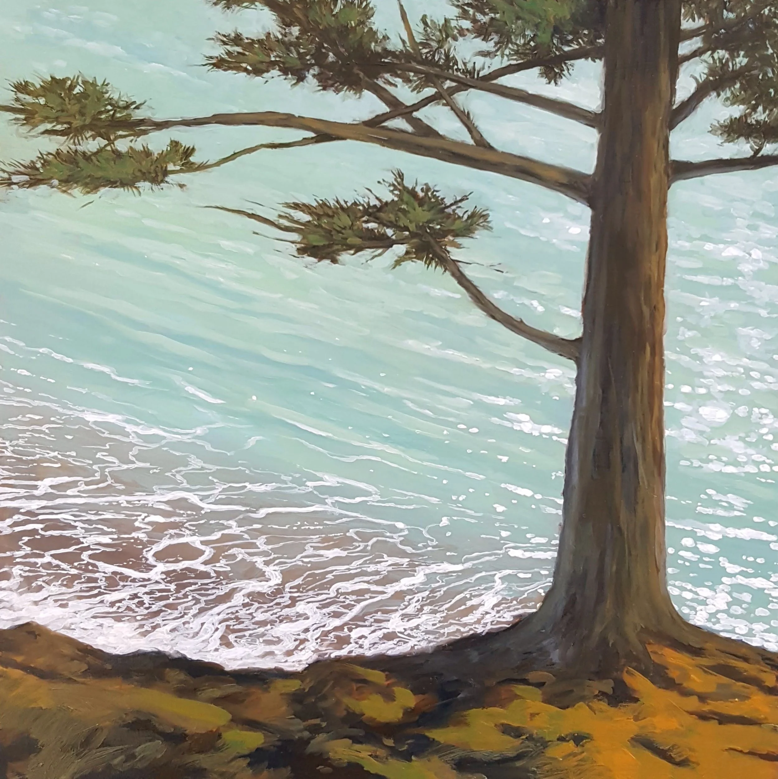 High above Low Tide