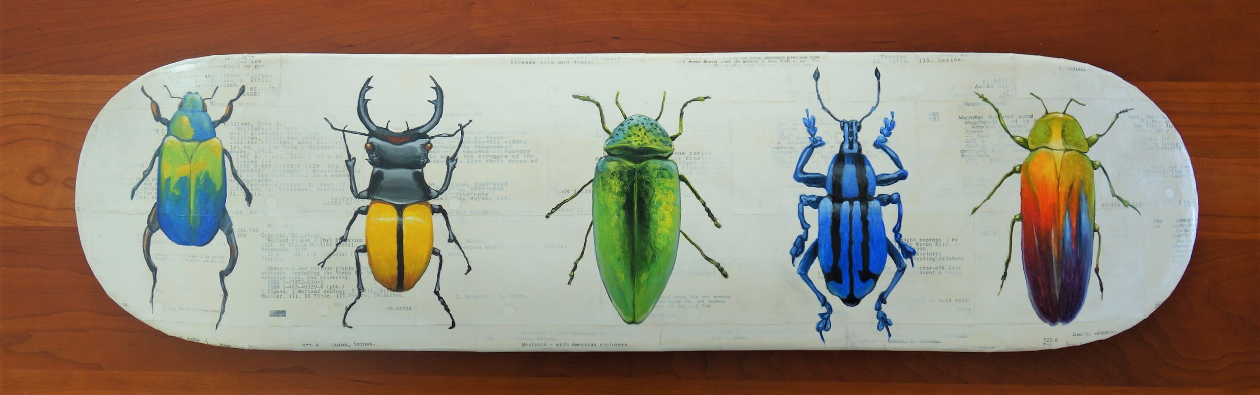 Meet the Beetles