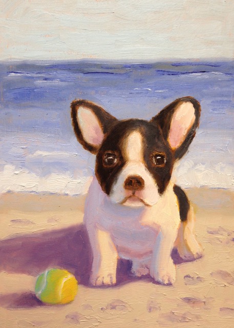 Boston Bulldog