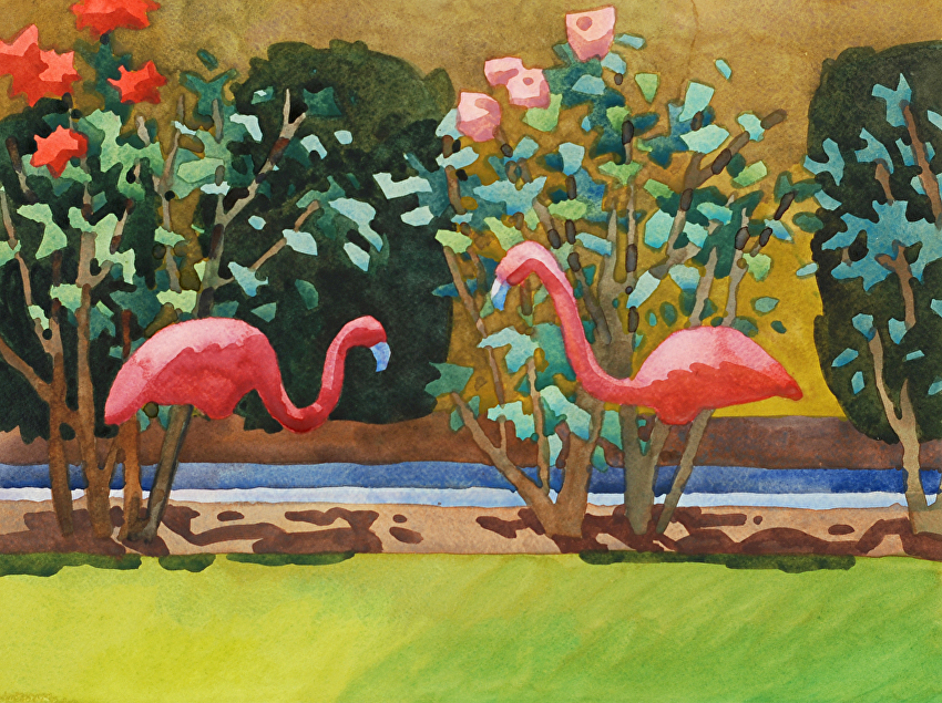 Flamingo Duet