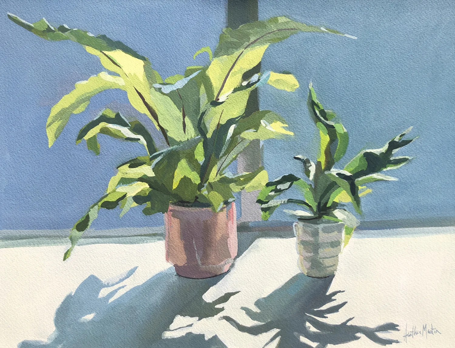 Tale of Two Ferns