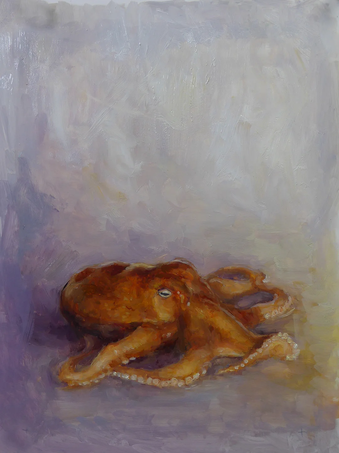 Octopus in the Sun