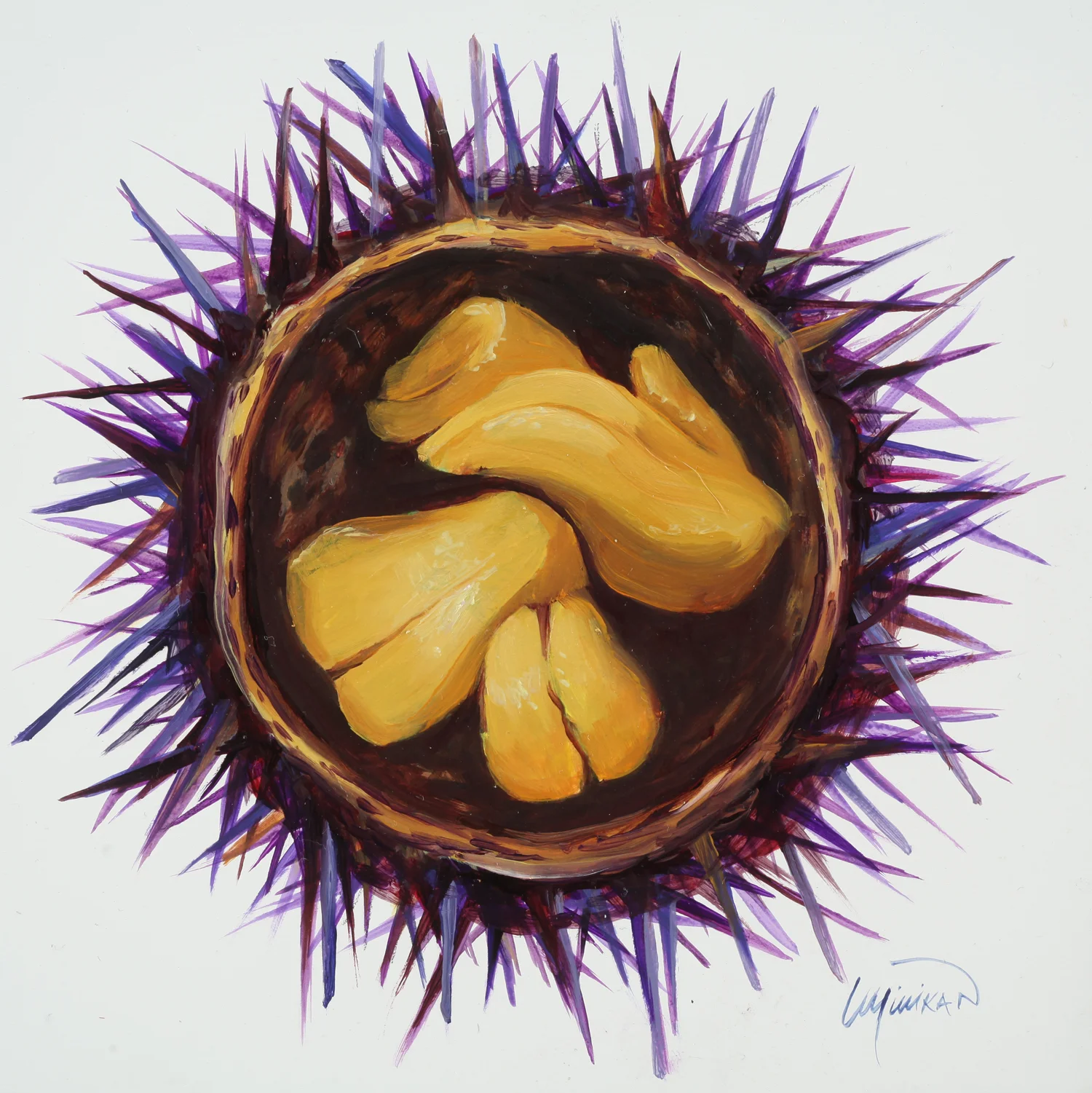 Uni