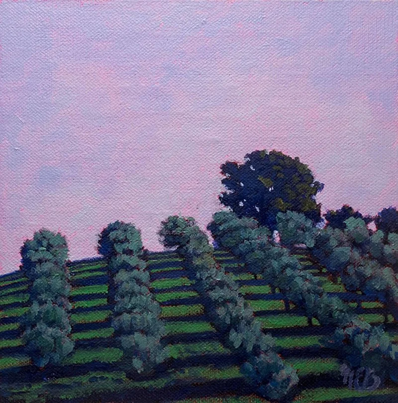 The Olive Trees